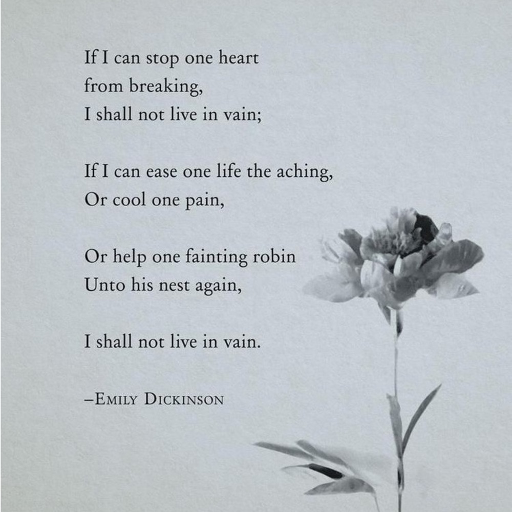 Meet your Posher, Emily